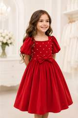 Embroidered Pearl Cotton Velour Dress – Soft, Comfortable Lining in Elegant Colors